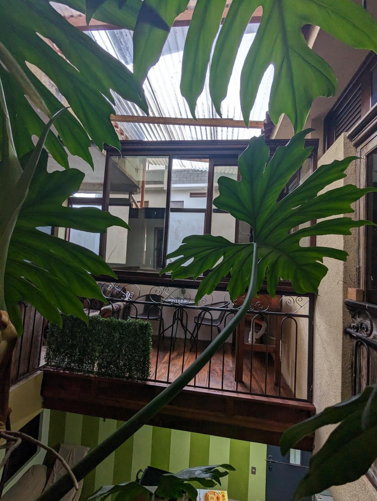 Casa Gonzalez Apartment Santiago Atitlan Exterior photo